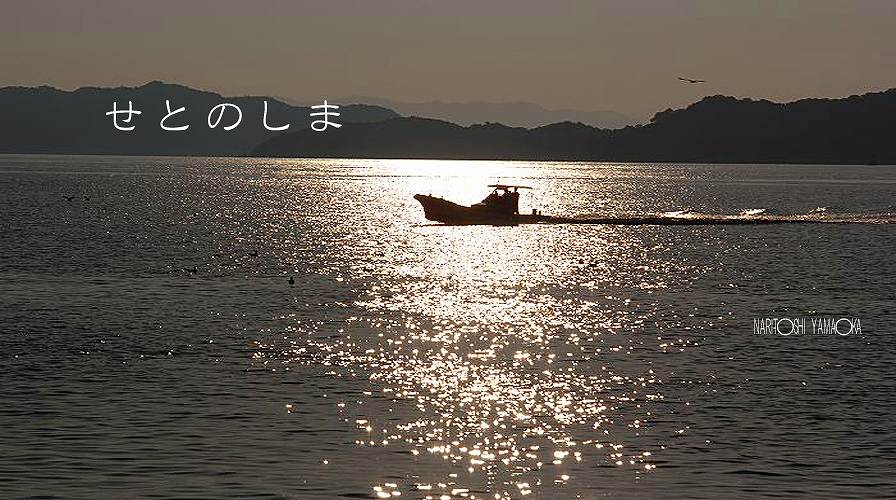 福袋 セール 瀬戸の島じま『島の猫』 その他